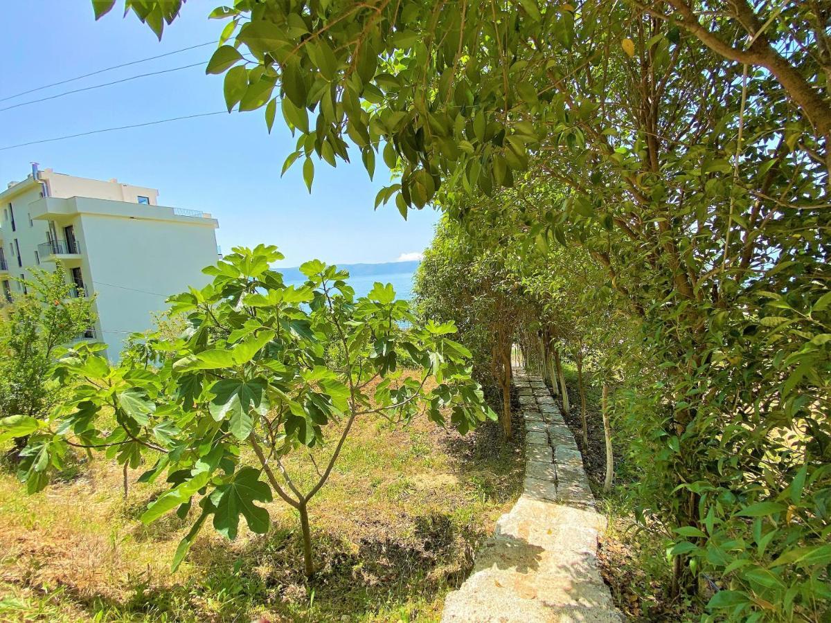 Ramo'S Cozy Beachside Haven With Panoramic Views - 1St Vlorë Exterior foto